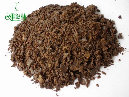 茶麸(fū) 茶(chá)麸(fū)